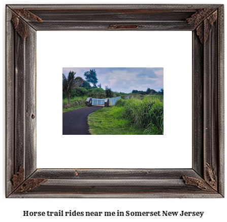 horse trail rides near me in Somerset, New Jersey